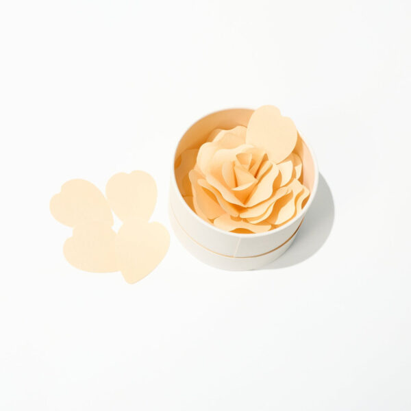 Hanafumi Paper Flower Card / archshop